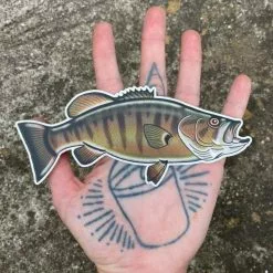 DrewLR Sticker - Bronze Back Smallie Fly Fishing Stickers