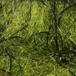 Hareline Cohens Carp Dub Materials