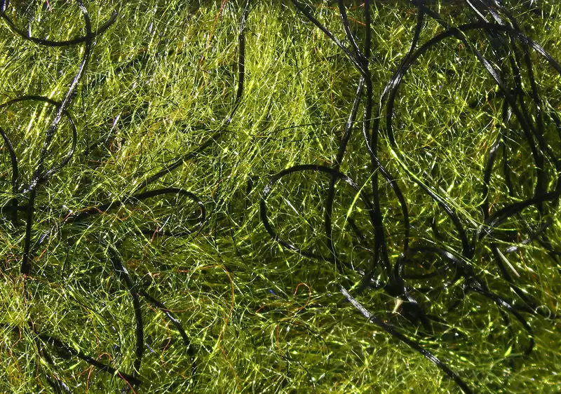 Hareline Cohens Carp Dub Materials