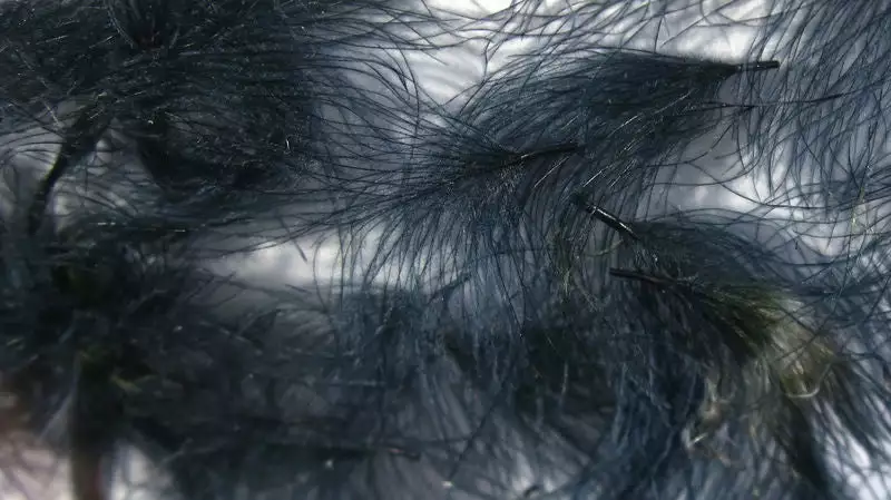 Hareline Materials CDC Oiler Puffs