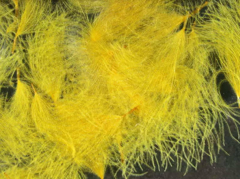 Hareline Materials CDC Oiler Puffs