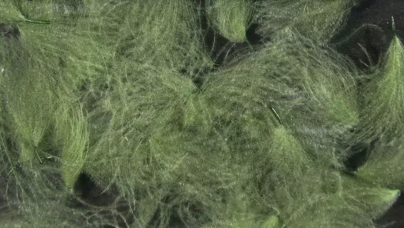 Hareline Materials CDC Oiler Puffs