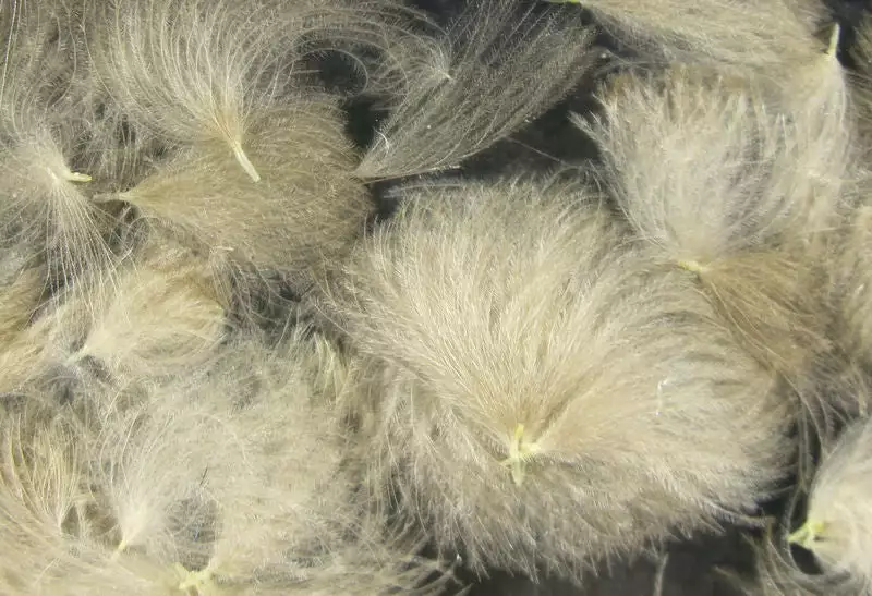 Hareline Materials CDC Oiler Puffs