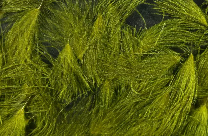 Hareline Materials CDC Oiler Puffs