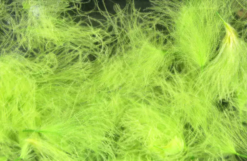 Hareline Materials CDC Oiler Puffs