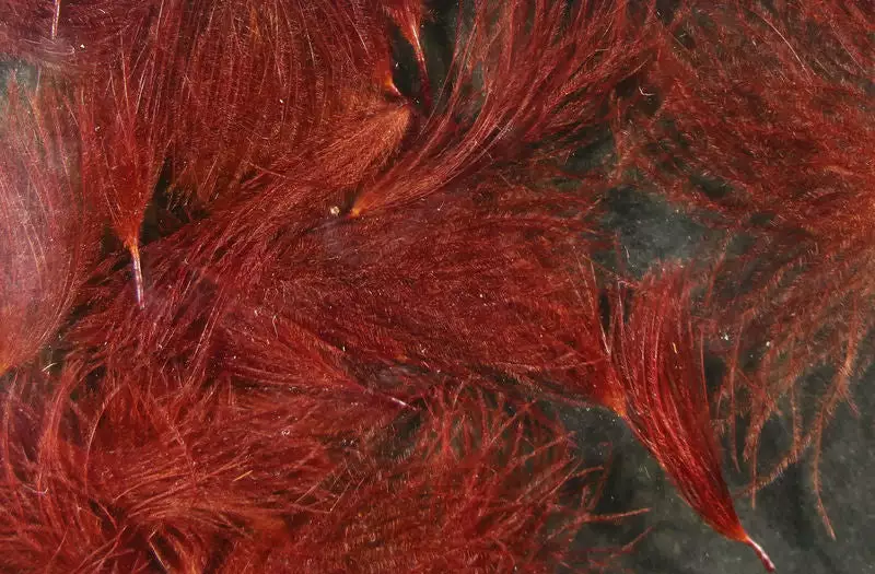 Hareline Materials CDC Oiler Puffs