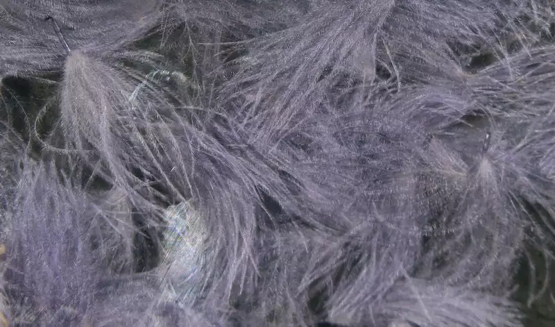 Hareline Materials CDC Oiler Puffs