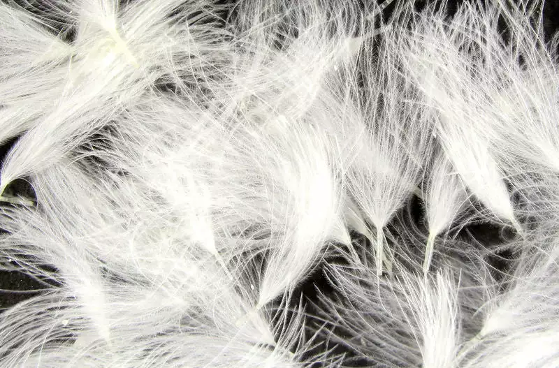 Hareline Materials CDC Oiler Puffs