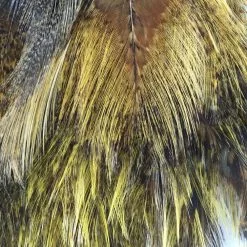 Whiting CDL Tailing Pack Materials