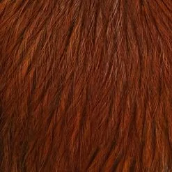 Whiting CDL Tailing Pack Materials