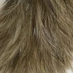 Whiting CDL Tailing Pack Materials