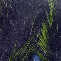 Hareline Materials Crosscut Frostip Rabbit Strips