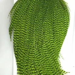 Materials Whiting Bugger Pack