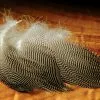Hareline Gadwall Feathers