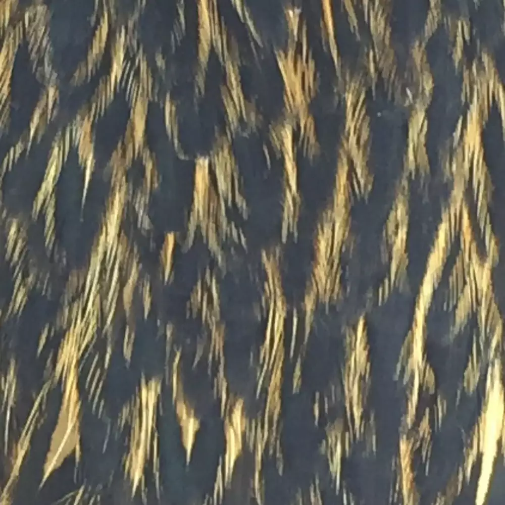 Materials Whiting American Hen Cape