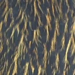 Materials Whiting American Hen Cape