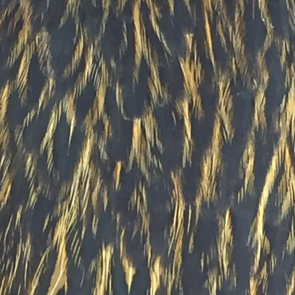 Materials Whiting American Hen Cape