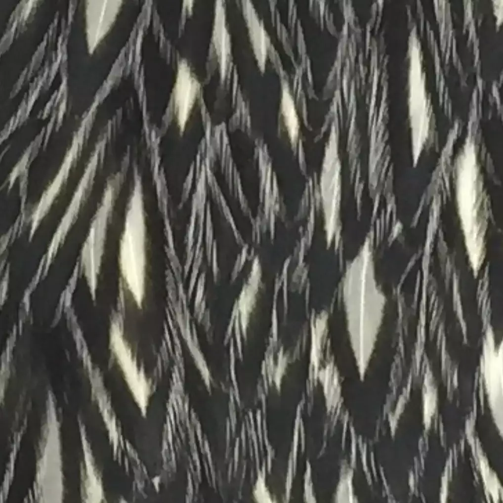 Materials Whiting American Hen Cape