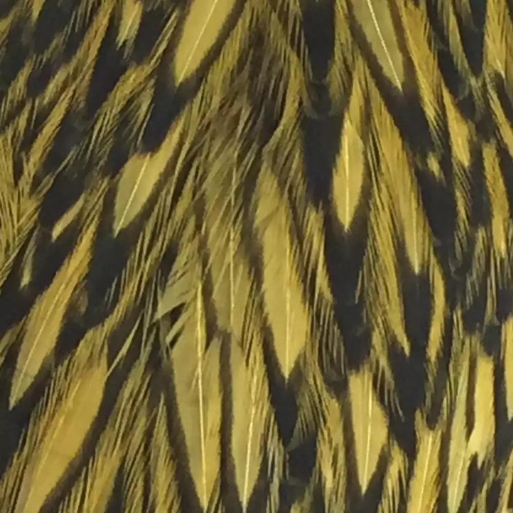 Materials Whiting American Hen Cape