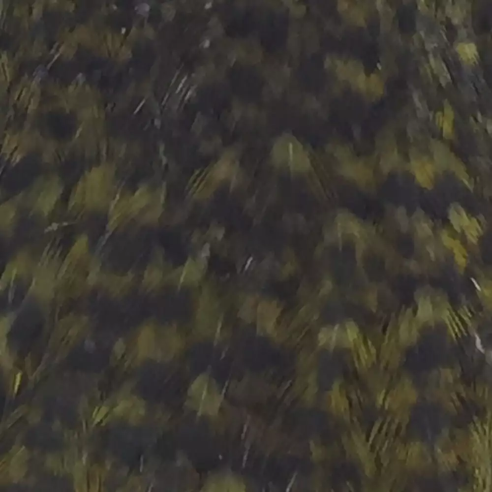 Materials Whiting American Hen Cape