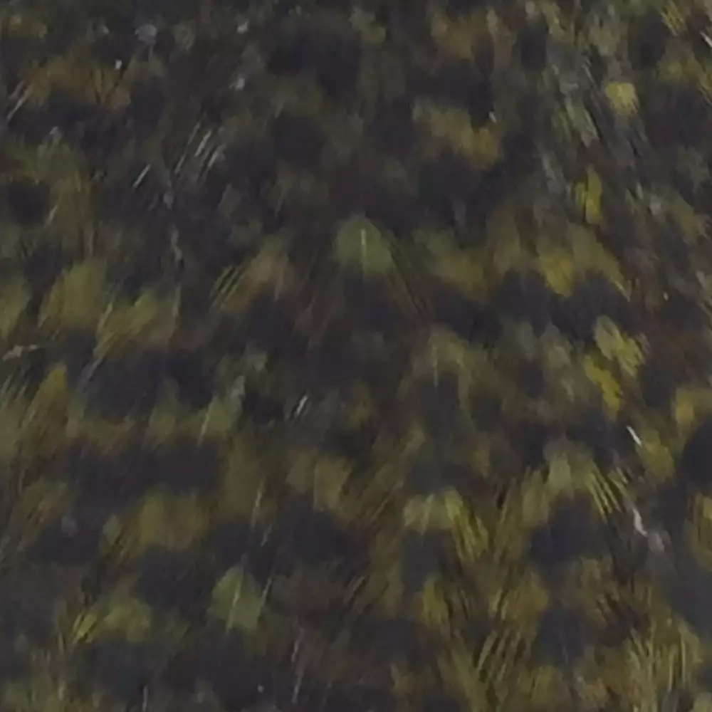 Materials Whiting American Hen Cape