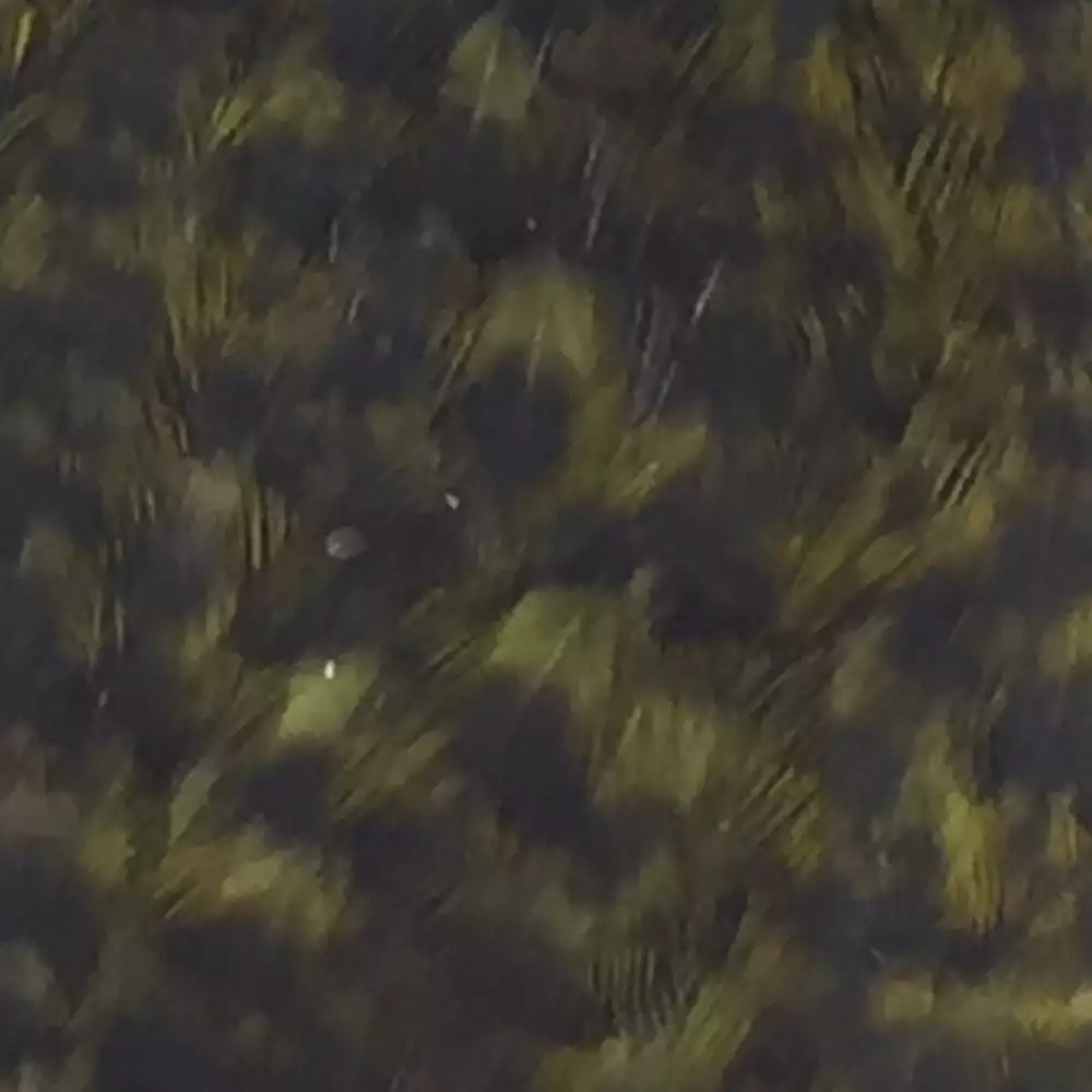 Materials Whiting American Hen Cape