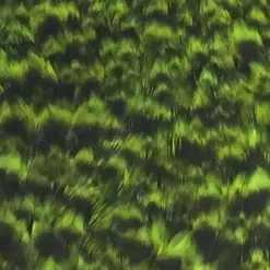 Materials Whiting American Hen Cape