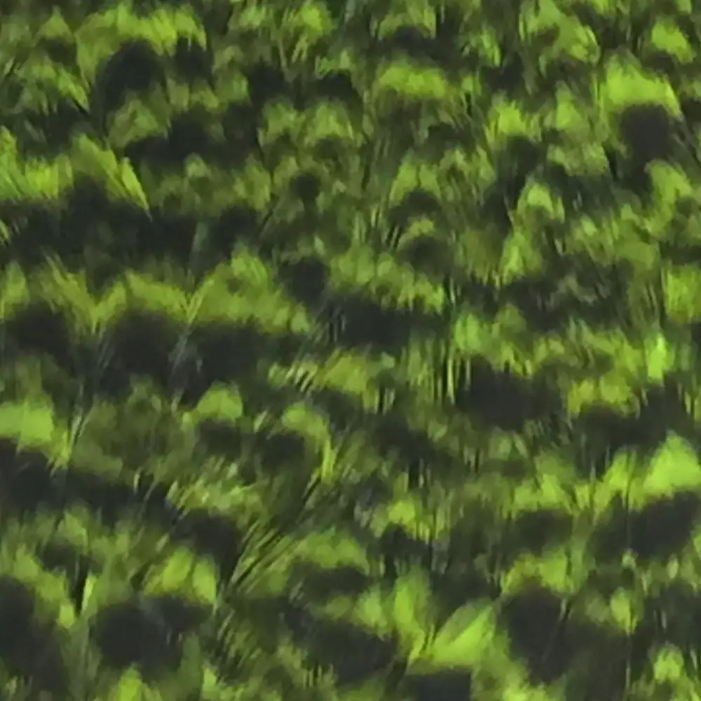 Materials Whiting American Hen Cape