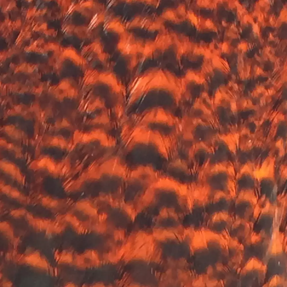 Materials Whiting American Hen Cape