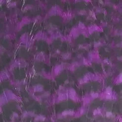 Materials Whiting American Hen Cape