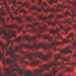 Materials Whiting American Hen Cape