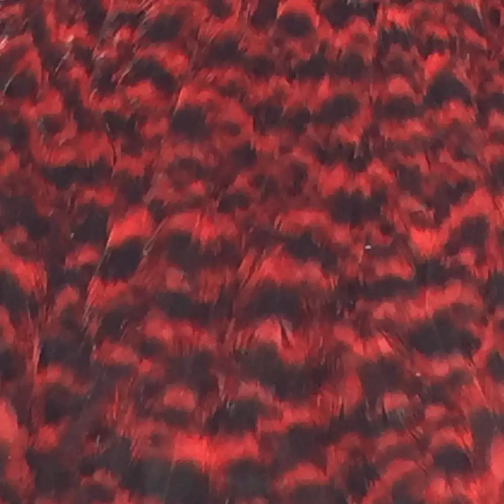 Materials Whiting American Hen Cape