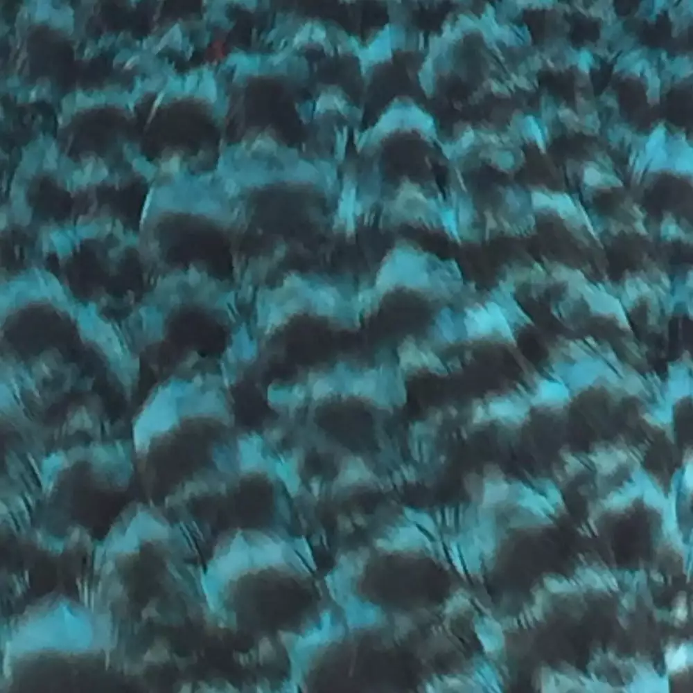 Materials Whiting American Hen Cape