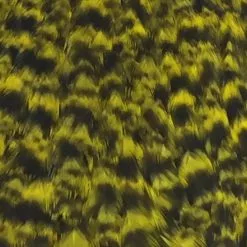 Materials Whiting American Hen Cape