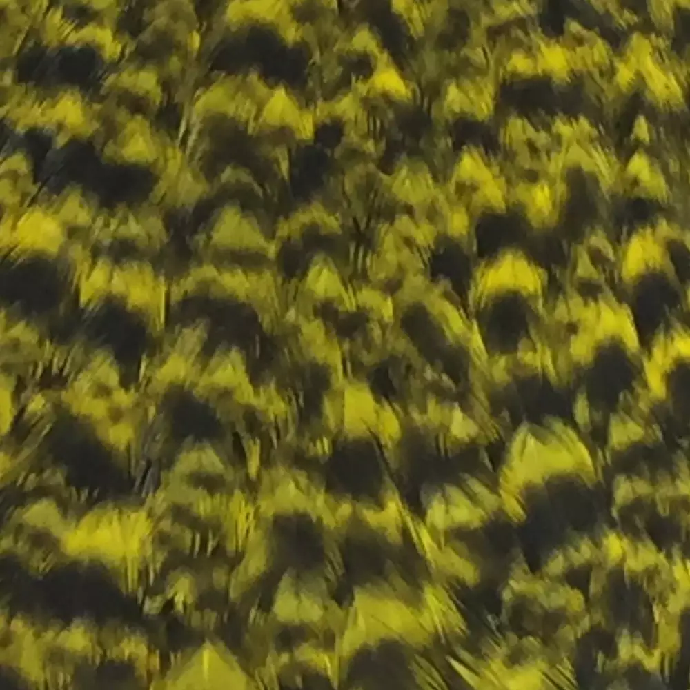 Materials Whiting American Hen Cape