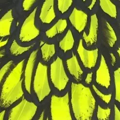 Materials Whiting American Hen Cape