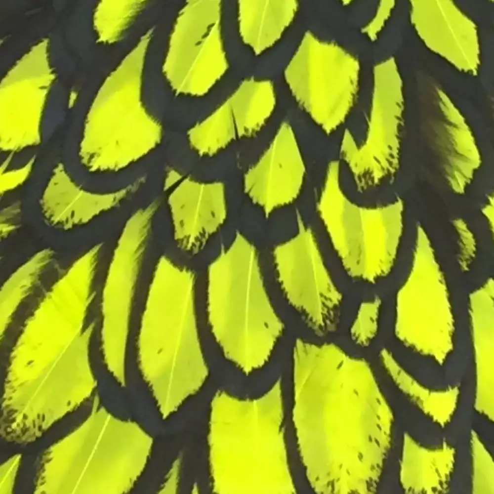 Materials Whiting American Hen Cape