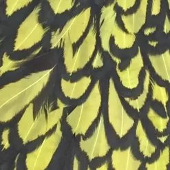 Materials Whiting American Hen Cape