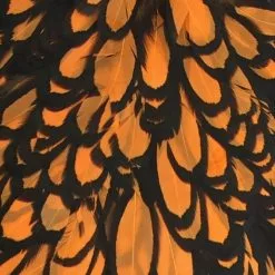 Materials Whiting American Hen Cape