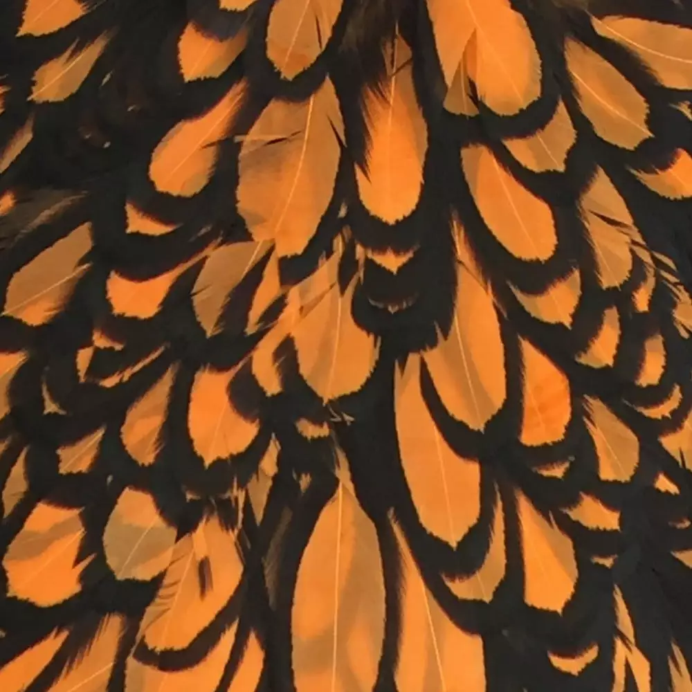 Materials Whiting American Hen Cape