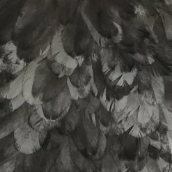 Materials Whiting American Hen Cape