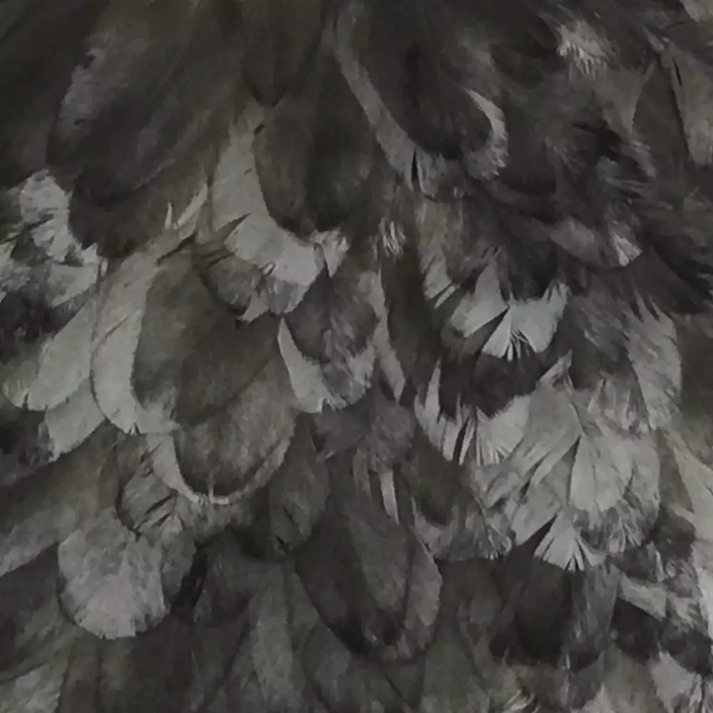 Materials Whiting American Hen Cape