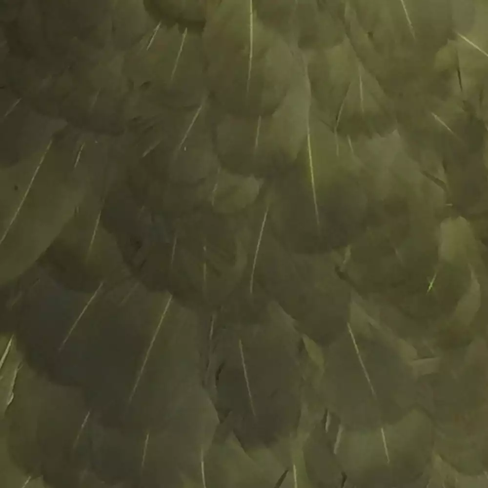 Materials Whiting American Hen Cape