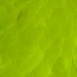 Materials Whiting American Hen Cape