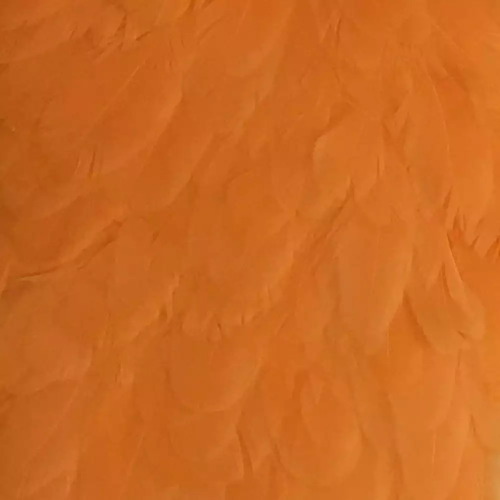 Materials Whiting American Hen Cape