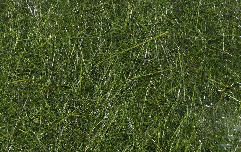 Hareline Materials Hare's Ear Plus Dub