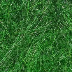 Hareline Materials Hare's Ear Plus Dub