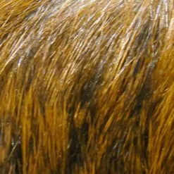 Hareline Dyed Grade #1 Hare's Mask Materials