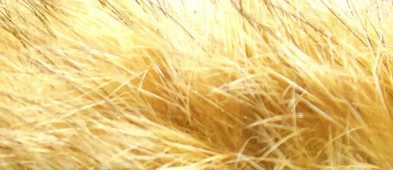 Hareline Dyed Grade #1 Hare's Mask Materials