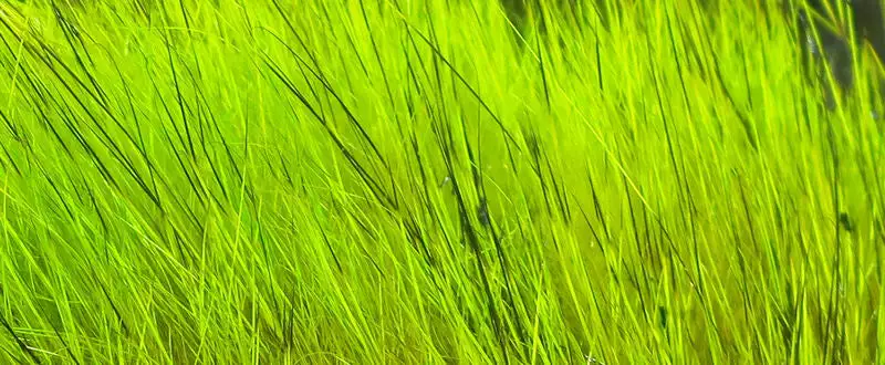 Hareline Dyed Grade #1 Hare's Mask Materials